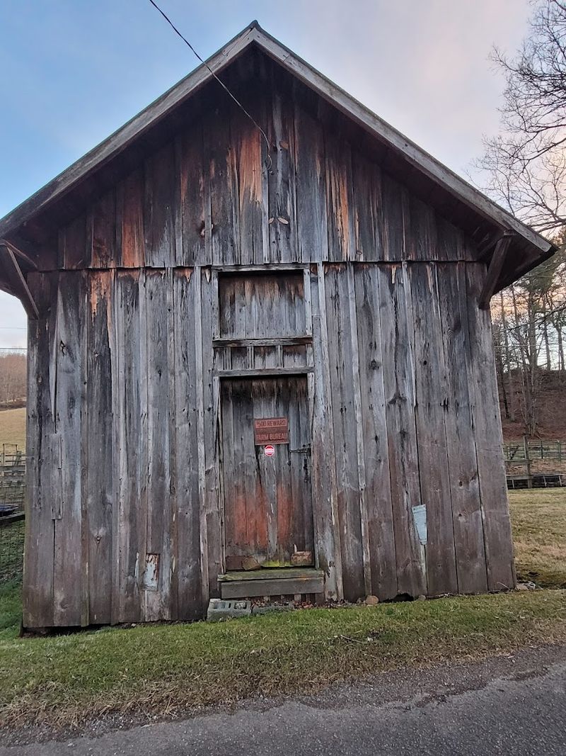 Roan Mountain And The Rhododendron Gardens Within Reach