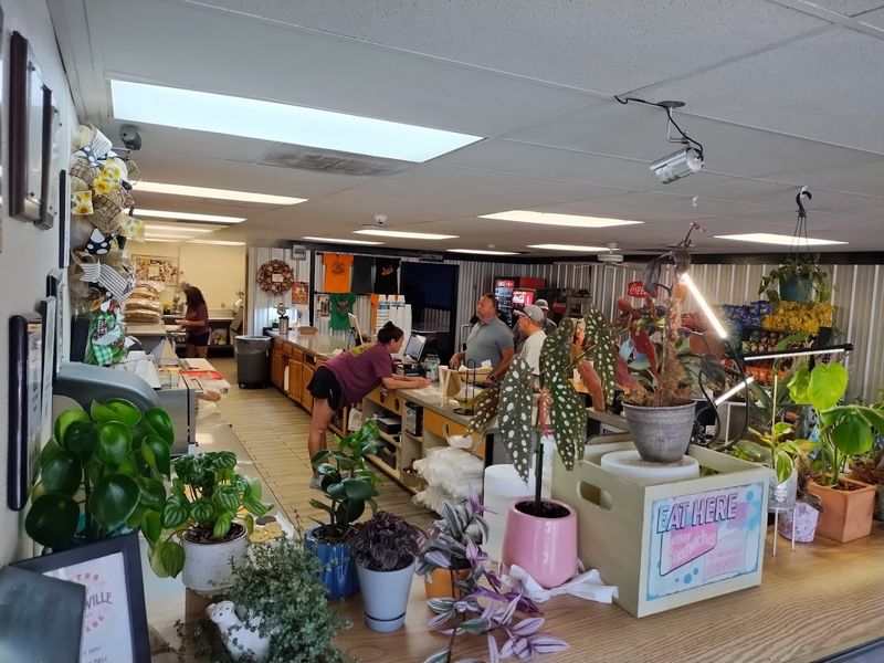 Practical Tips For Getting The Most Out Of A Visit To Nixon's Deli