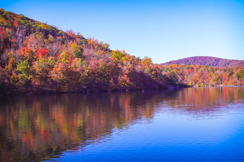 Fall Foliage That Commands Attention