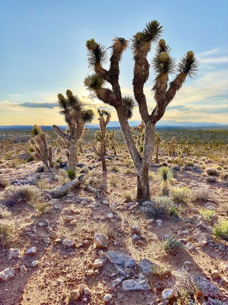 Easy Day Trips To National Parks And Scenic Wonders