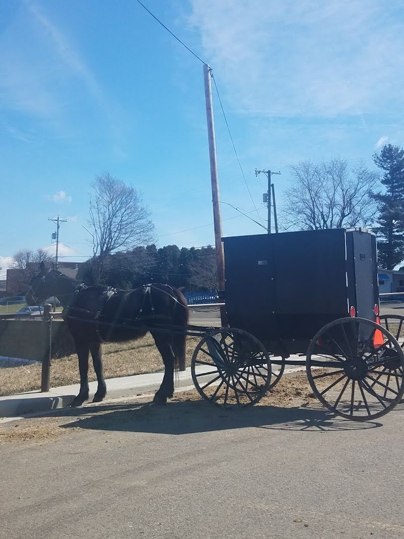 Horse-Drawn Buggies Are A Common Sight On Local Roads
