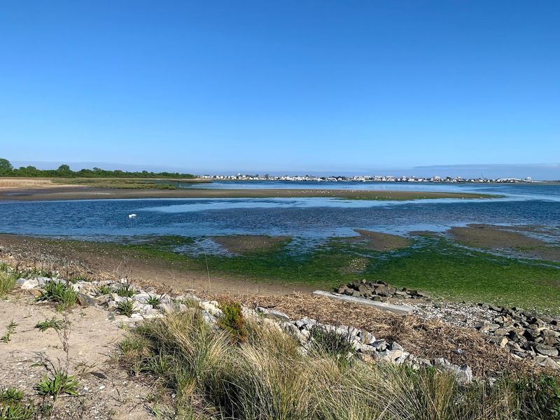 Photography Tips That Will Sharpen Your Results At The Refuge