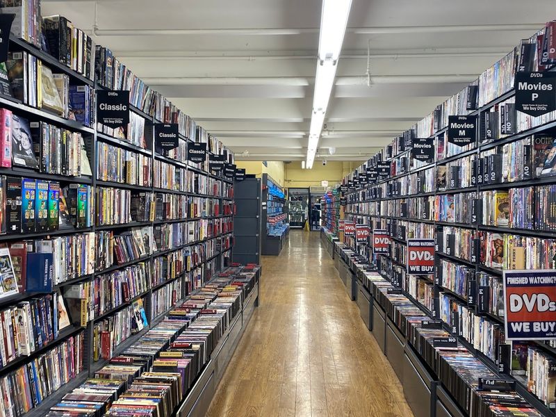 Thousands Of Books Organized With Genuine Care And Intention