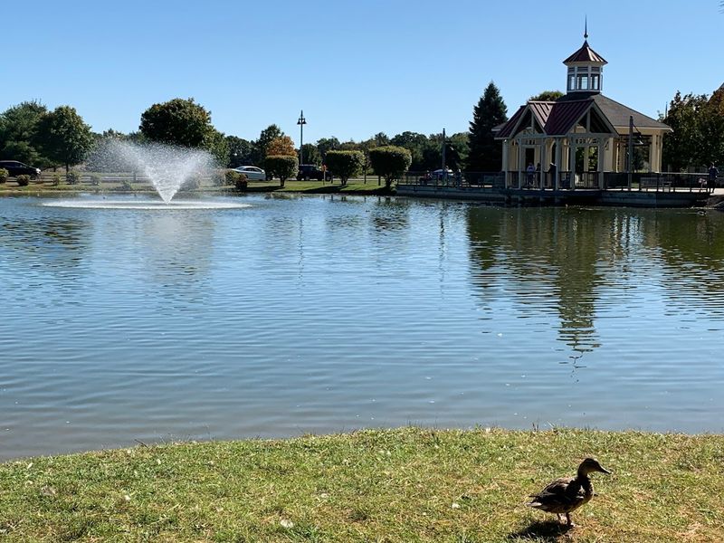 The Crossings Of Colonie (Albany Area)