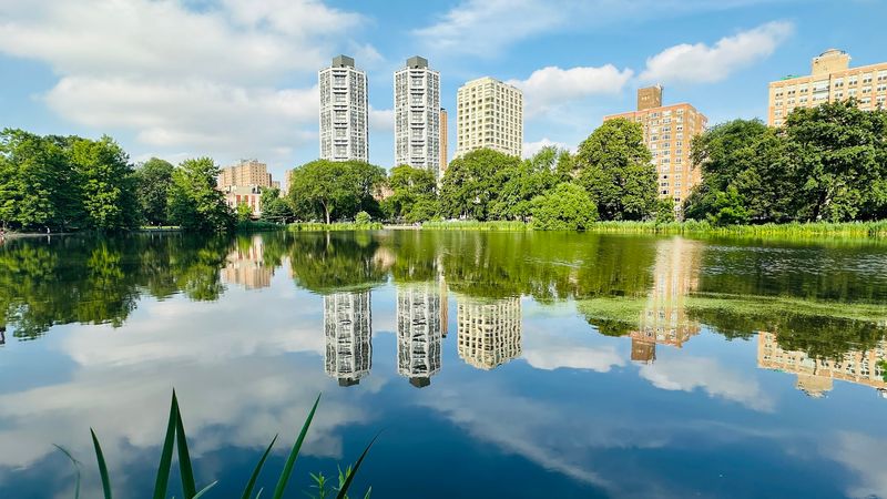 Central Park Ponds & Harlem Meer 