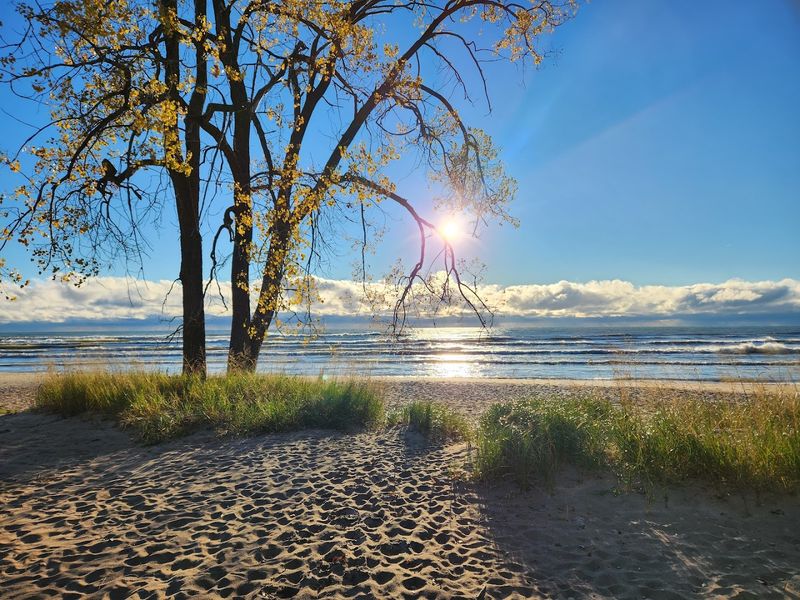 Kohler-Andrae State Park Campground