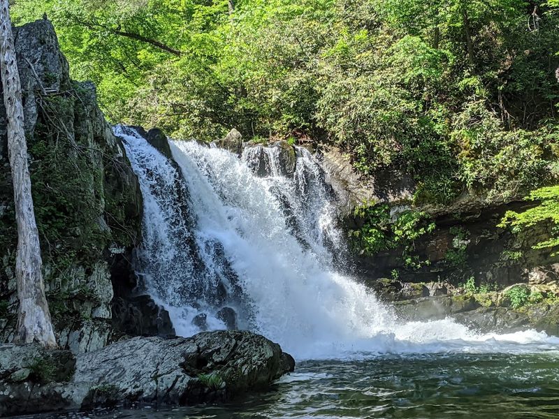 Abrams Falls, Great Smoky Mountains