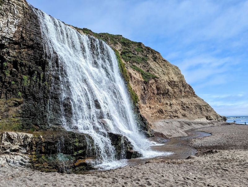 Alamere Falls Trail (Point Reyes National Seashore)