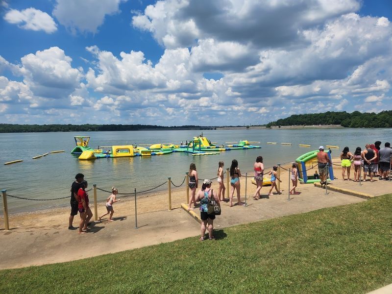 Food, Snacks, And Drinks Around The Park