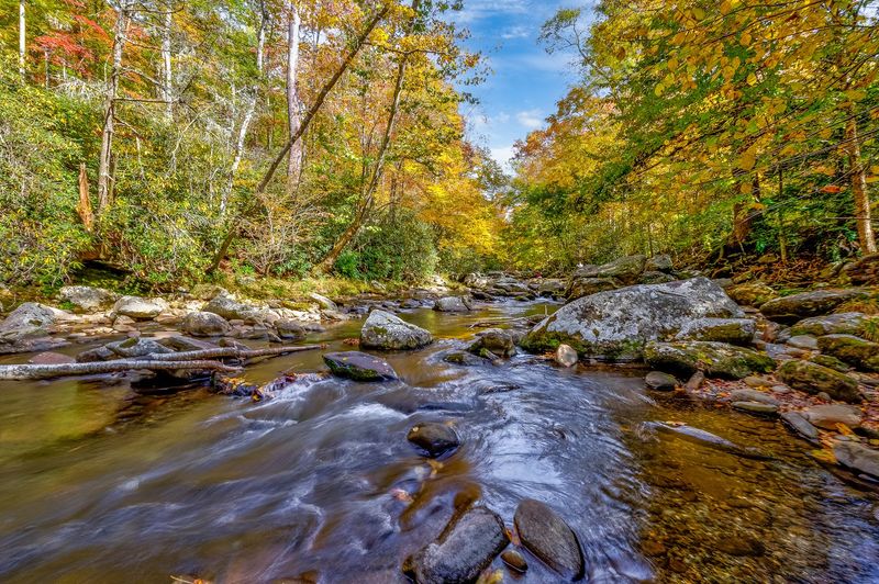 Elkmont Campground, Gatlinburg