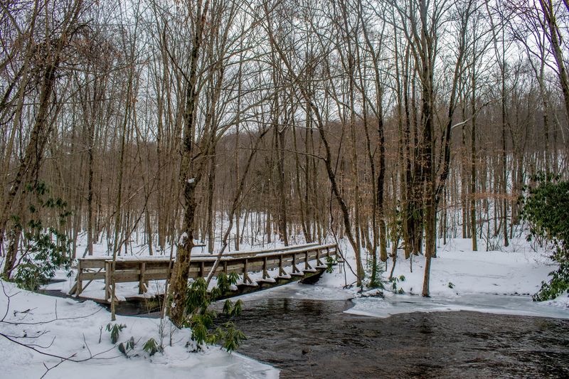 Why This Park Earns Its Reputation As A True Escape