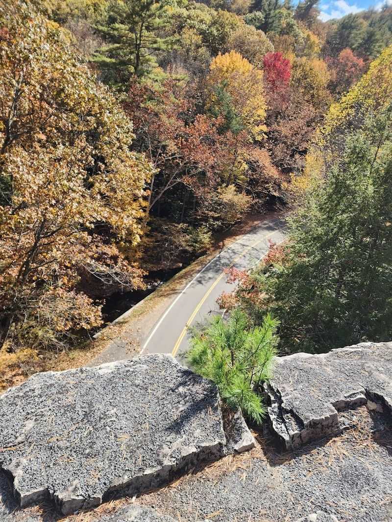 The Scenic Drives That Reward Every Mile