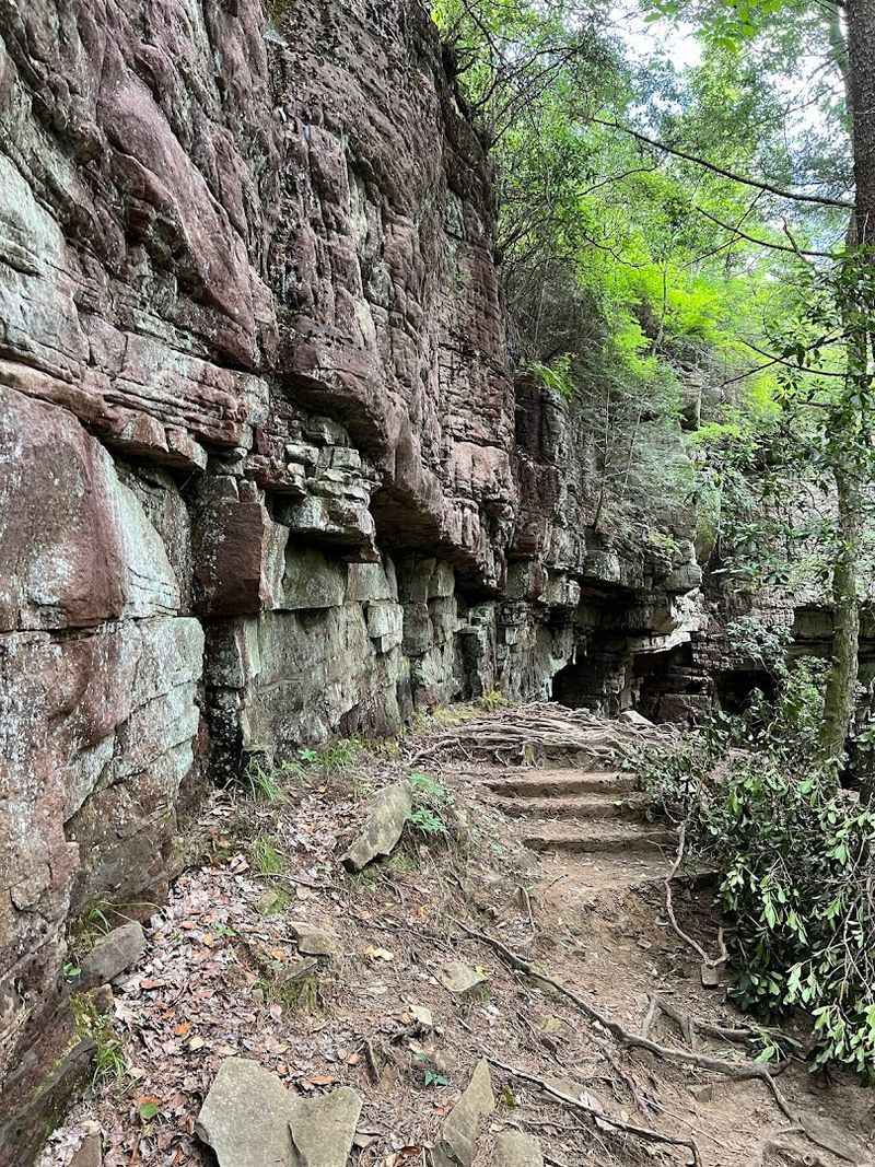 Savage Gulf Stone Door, Beersheba Springs