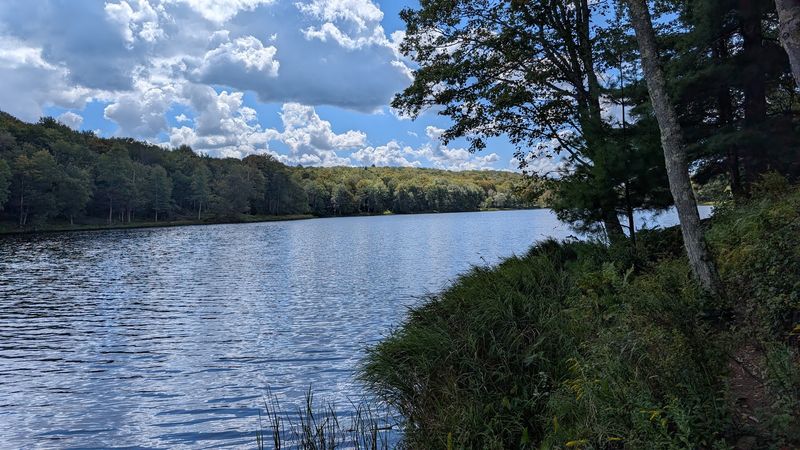 Frick Pond Trail (Willowemoc Wild Forest, Catskills)
