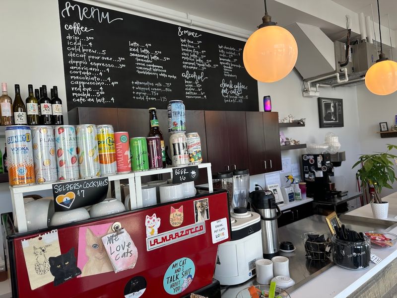 The Space Is Split Between A Café Area And A Cat Lounge