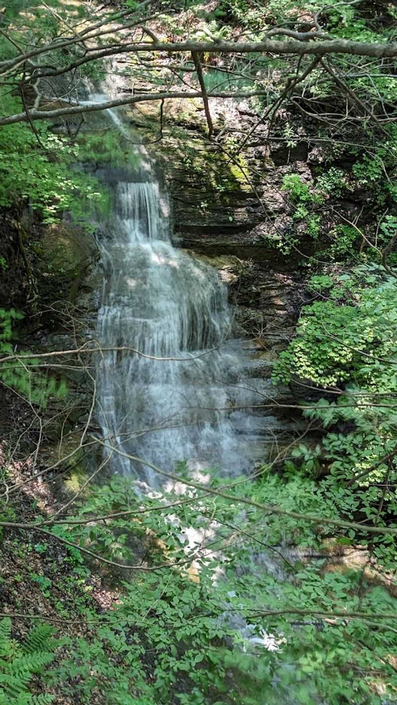 The Waterfall Waiting Just Below The Treehouse