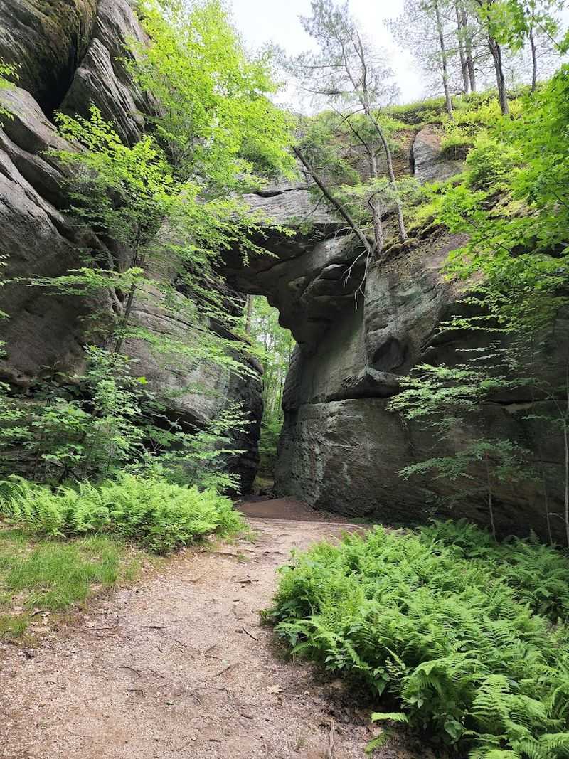 Rock City Park (Olean, Cattaraugus County)