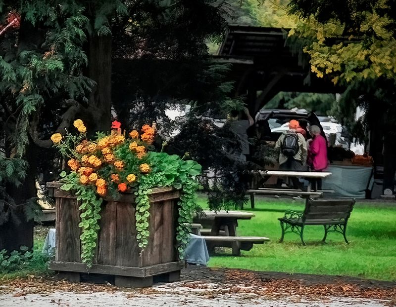 Trumansburg, New York