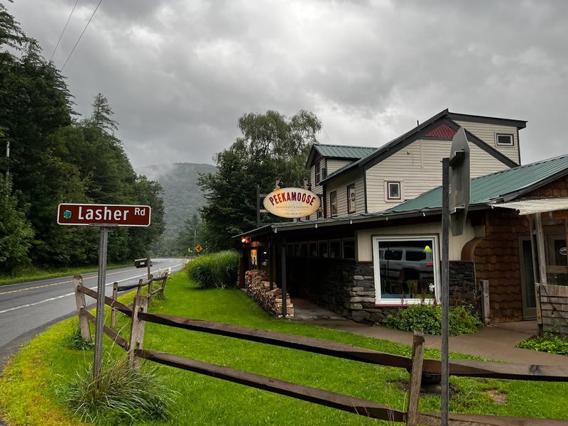 Practical Tips For Planning Your Visit To Peekamoose