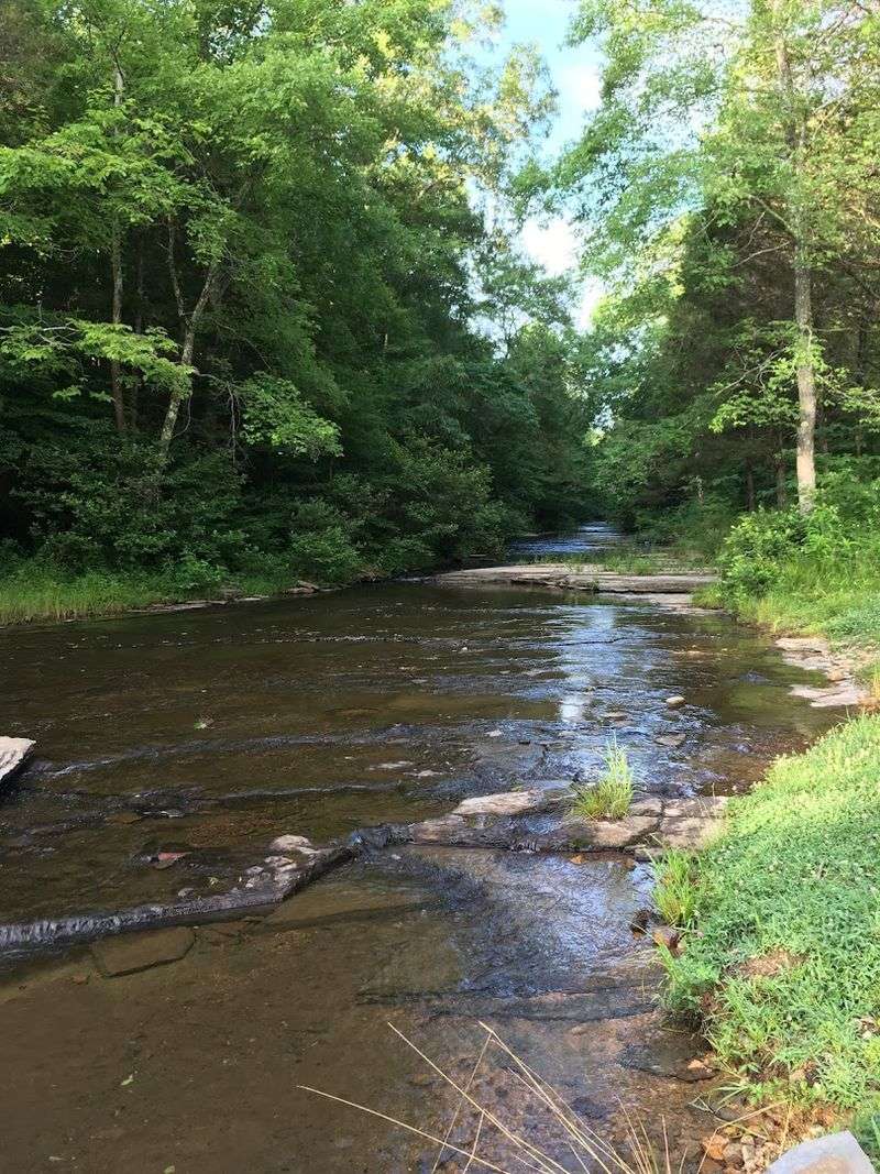 Hohenwald, Lewis County