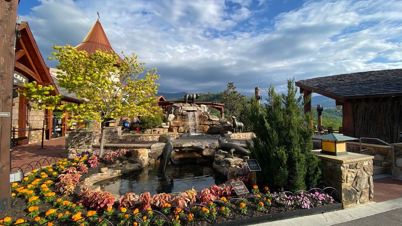 Practical Tips For Planning Your Visit To Anakeesta