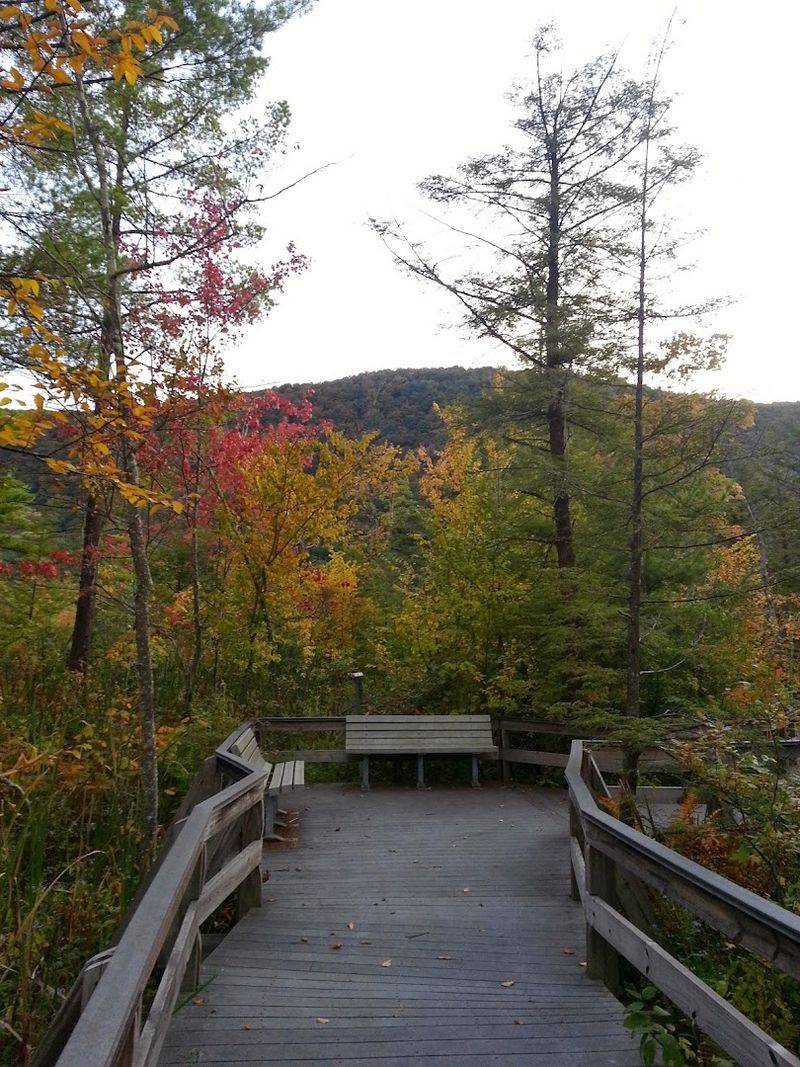 Labrador Hollow Unique Area (Tully, Onondaga County)