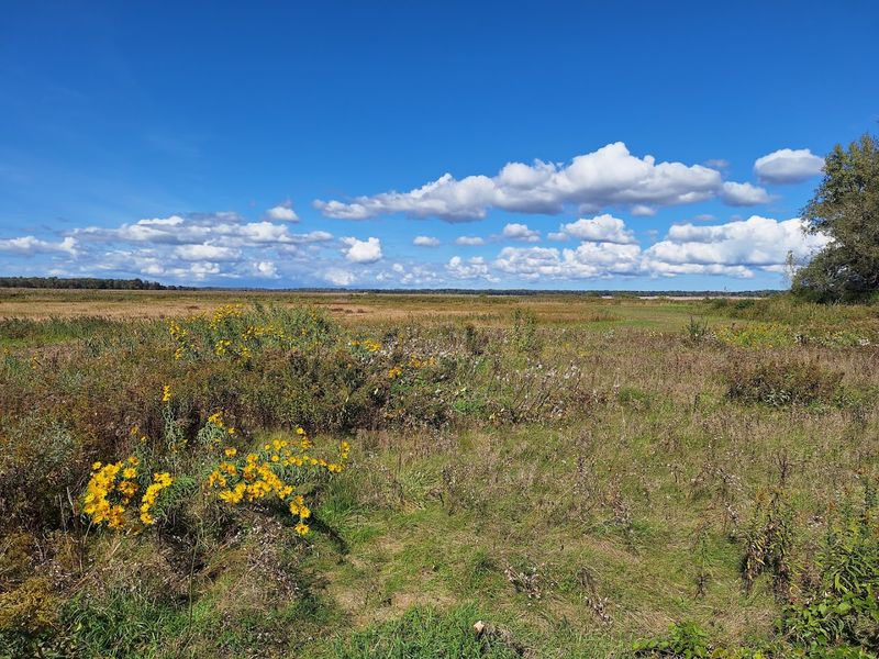 Montezuma National Wildlife Refuge