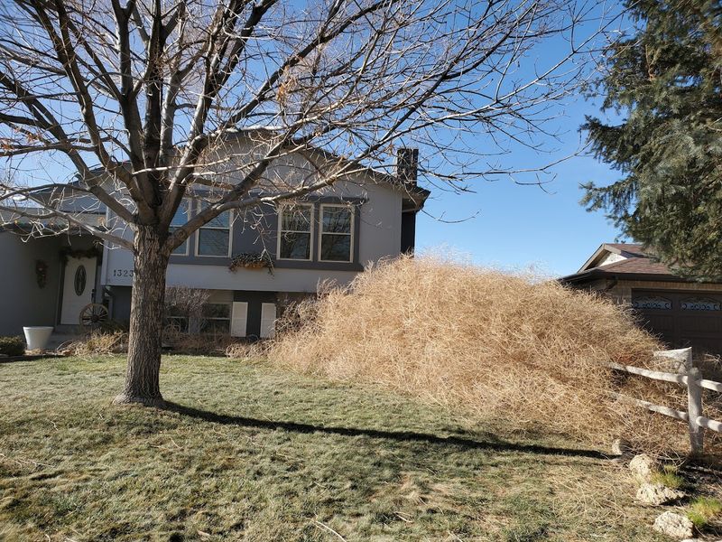 Why Pueblo Is The Secret For Budget Homebuyers