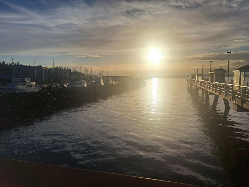 Reflections On Puget Sound That Feel Too Quiet