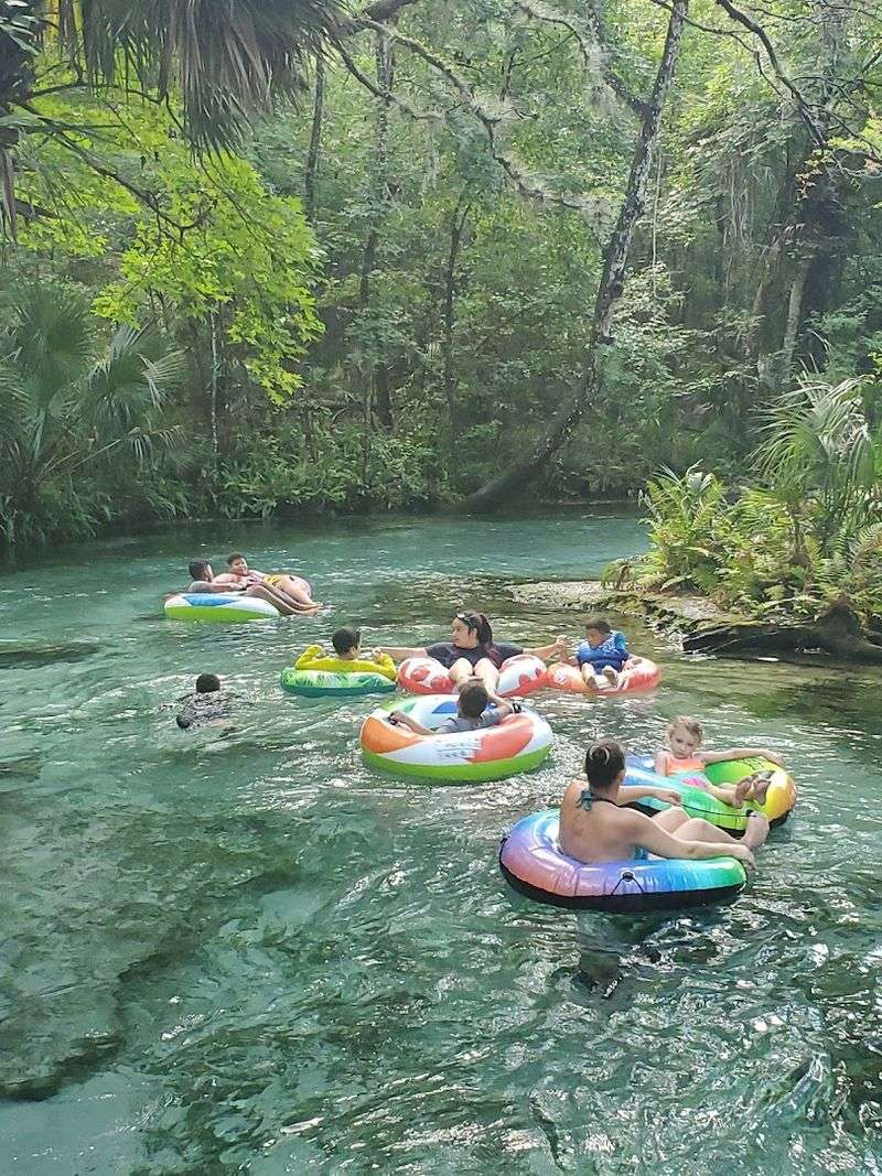 The Gentle Current That Makes Tubing So Easy And Enjoyable