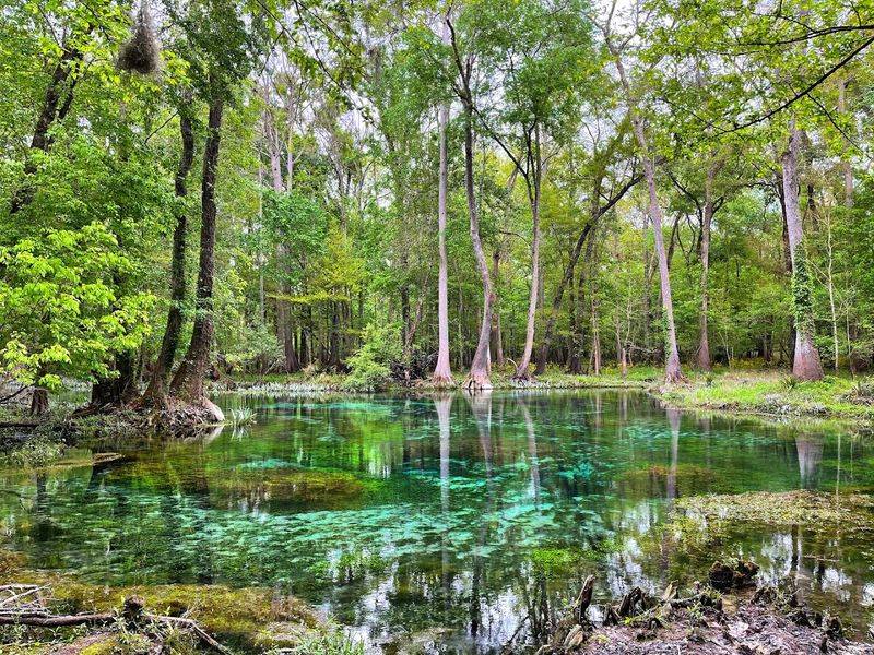 1.7-Mile Blue Springs Loop Trail Leads To Five Stunning Pools