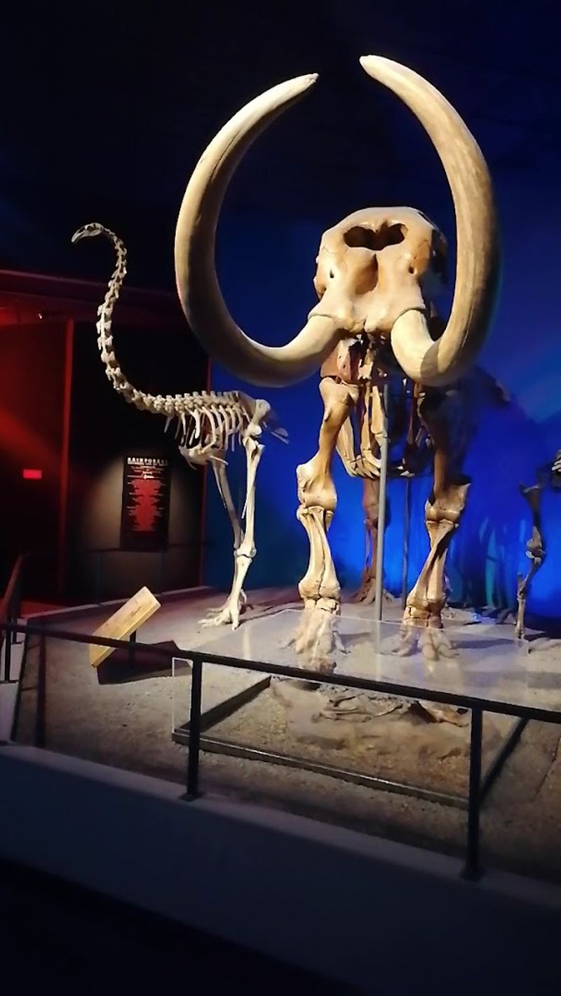 A Planetarium Exploring The Wonders Of Space