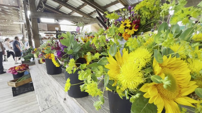 Flowers And The Quiet Joy Of Buying Something Beautiful