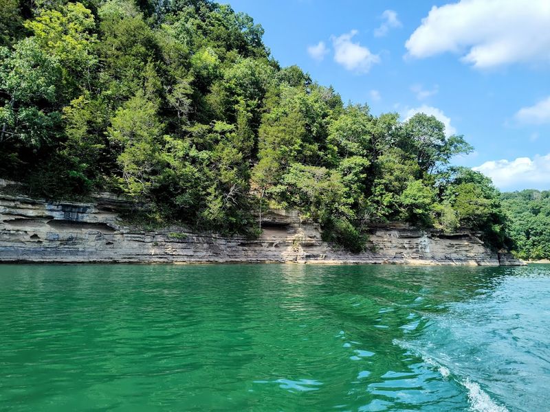 Obey River And The Trails That Follow Its Banks