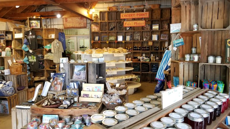 Cherry Point Farm Has Been Welcoming Visitors For Decades