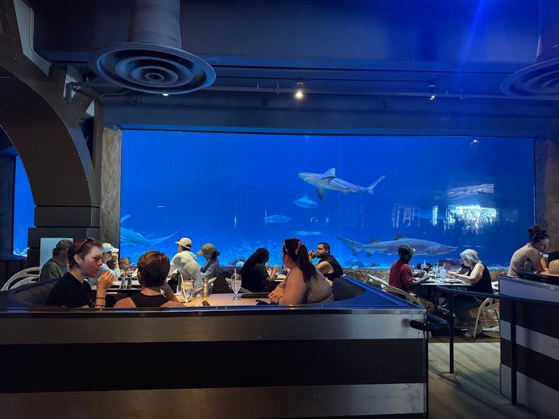 Why Sharks Underwater Grill Is Orlando's Top Dining Spot