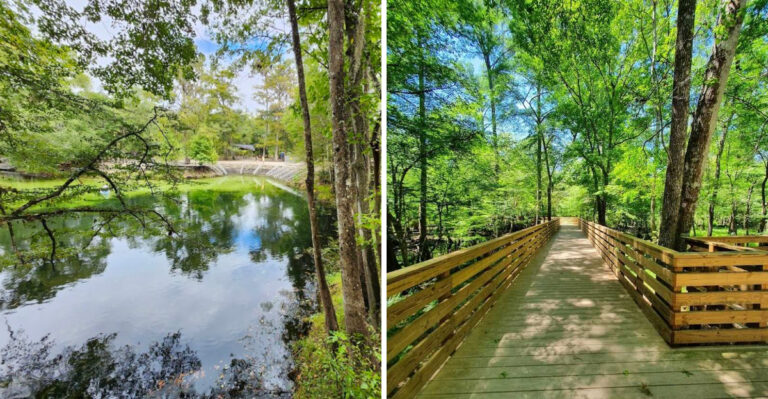 Discover Florida’s Tranquil Spring That Stays 72 Degrees Year-Round And Never Gets Crowded