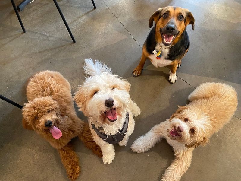 Themed Events And Special Evenings That Keep Things Exciting