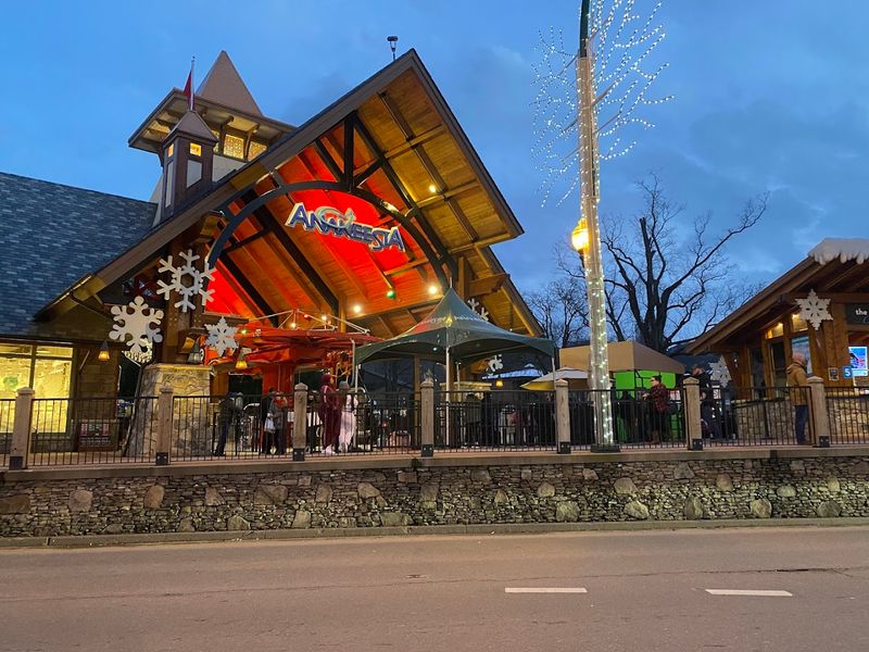 Interactive Exhibits And Family Play Areas