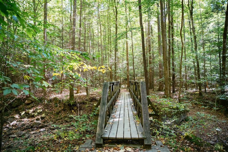 Hike To An Old Fire Tower With Panoramic Views