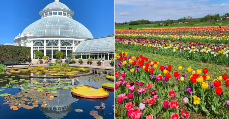 Easter Weekend Day Trips In New York That Feel Like A Spring Escape