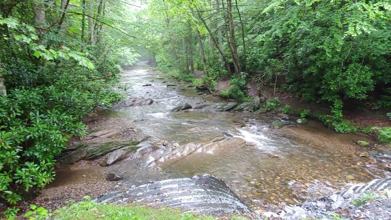 Roan Mountain State Park Campground, Roan Mountain