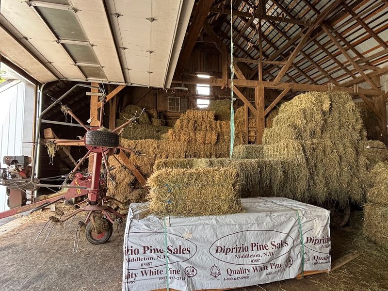 The Amish Work Ethic: More Than Just Farming