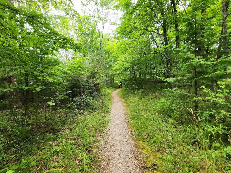 A Hidden Corner Of Peninsula State Park Many Visitors Miss