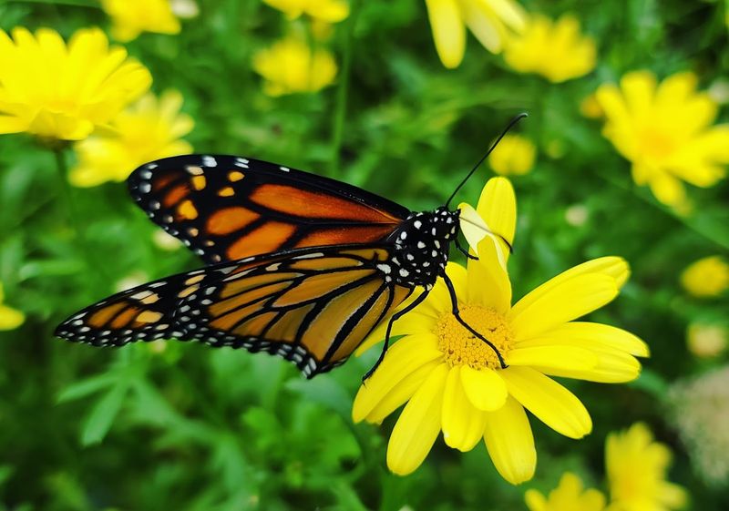 The Science And Nature Center That Surprises Everyone