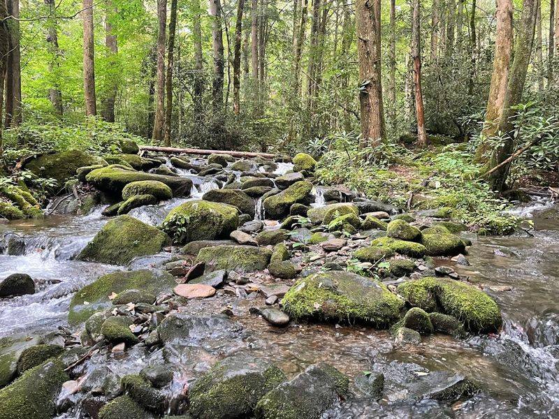 Cosby Campground, Cosby