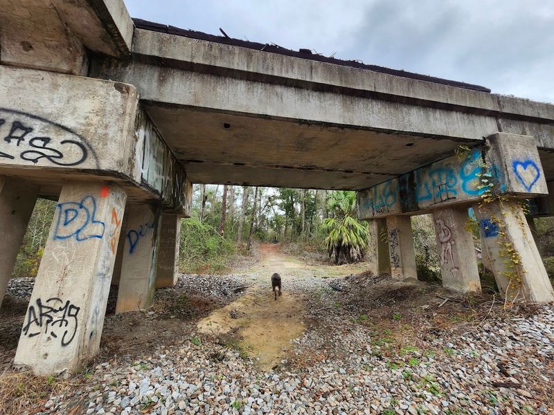 Hiking To The Ellaville Ghost Town