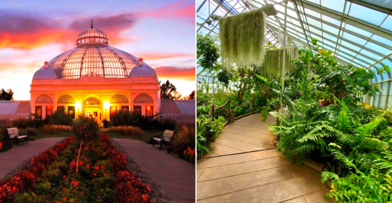 Escape The Cold At This New York Tropical Garden Where It’s Warm And Lush Year-Round