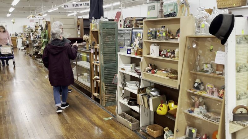 Affordable Bargains For First‑Time Collectors