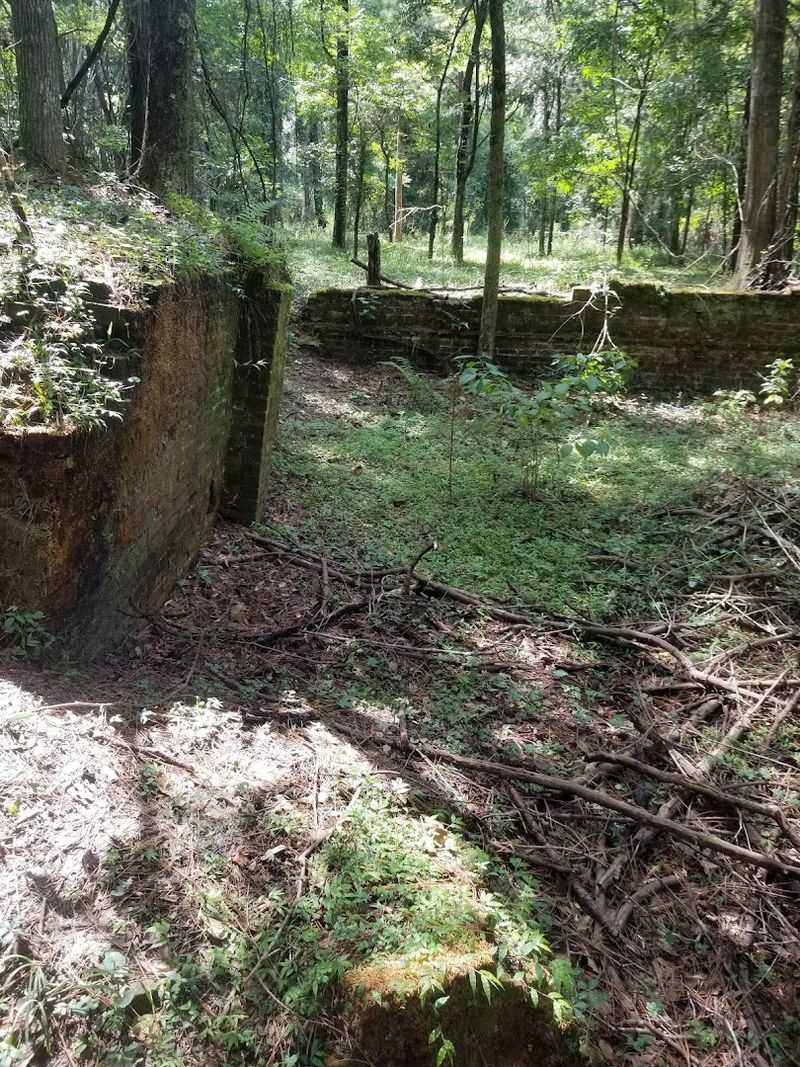 Ellaville's Hidden Secrets Beneath Florida's Soil